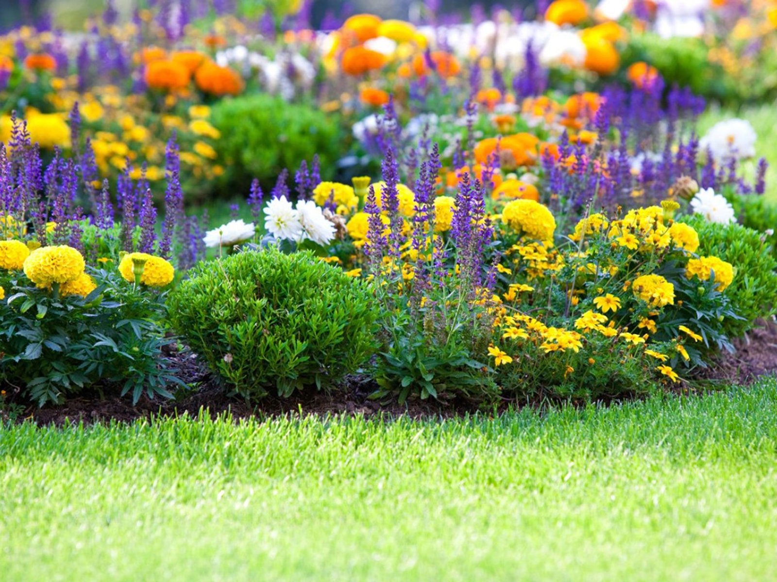 _VM-multiservicios-jardinería-02-w1920