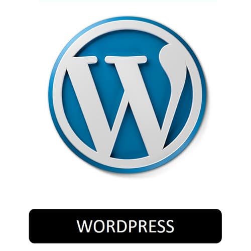 logo-wordpress-500x500