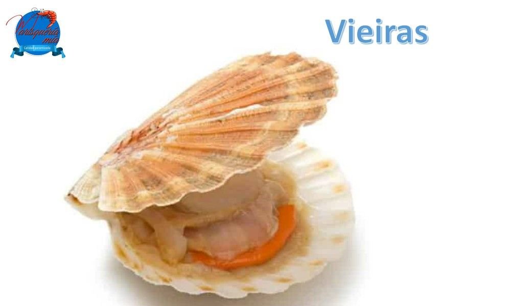 marisqueria-mia-galeria-1000x600-11