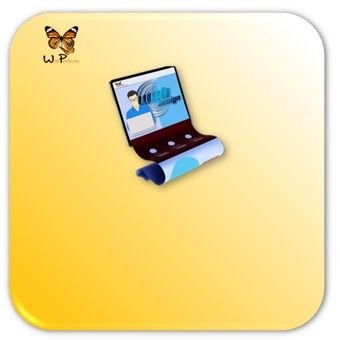 rotulo-servicio-diseño-web-premium-web-papillon-320x237