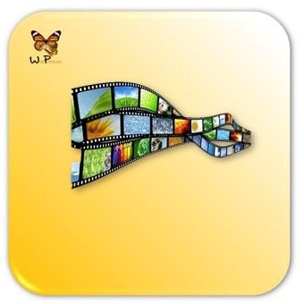rotulo-servicio-galeria-de-imagenes-web-papillon-320x237